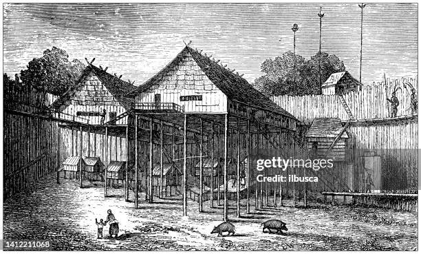 antique illustration, ethnography and indigenous cultures: dayak village, borneo - dayak stock illustrations