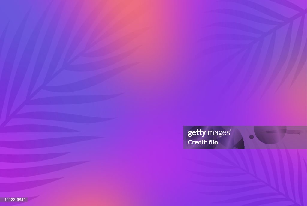 Warm Summer Palm Abstract Background