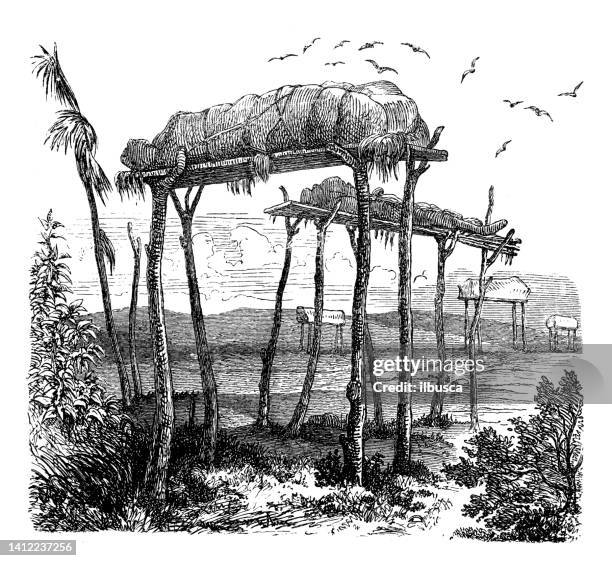 antique illustration, ethnography and indigenous cultures: native burial - place of burial stock illustrations