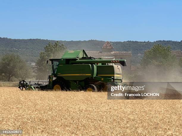 Moissonneuse-batteuse dans un champ de blé, 15 juillet 2022.
