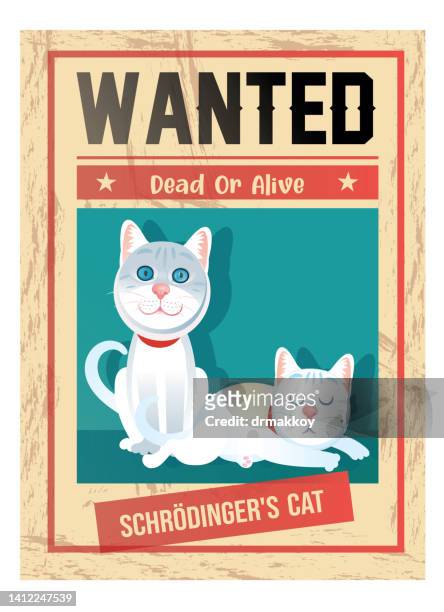 schrodinger's cat and dead or alive wanted poster - cat in box stock illustrations