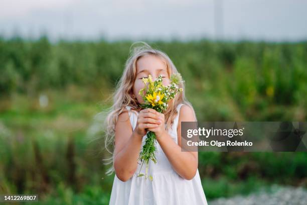 little girl smelling summer bouquet - odorat photos et images de collection