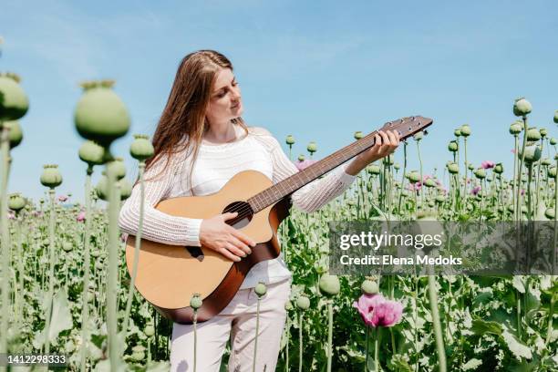 a charming young girl plays the guitar in a field of purple poppies on a bright sunny day. - autor de canciones fotografías e imágenes de stock