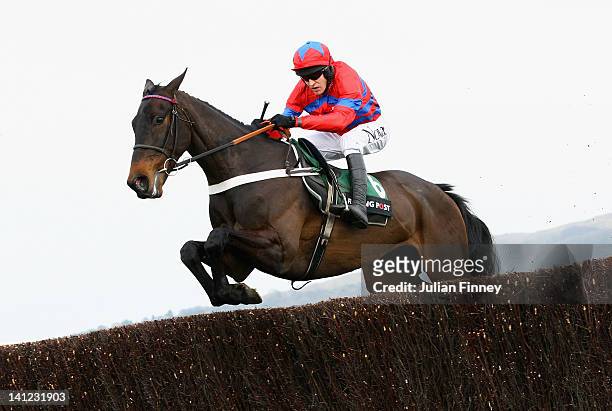 Sprinter Sacre ridden by Barry Geraghty jumps a fence in the Racing Post Arkle Challenge Trophy Steeple Chase run during day one of the Cheltenham...