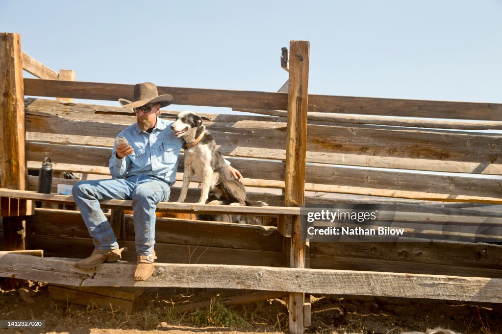 Pet Love Ranch animals
