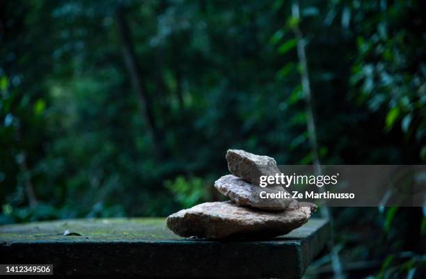 tree - echolocation stock pictures, royalty-free photos & images