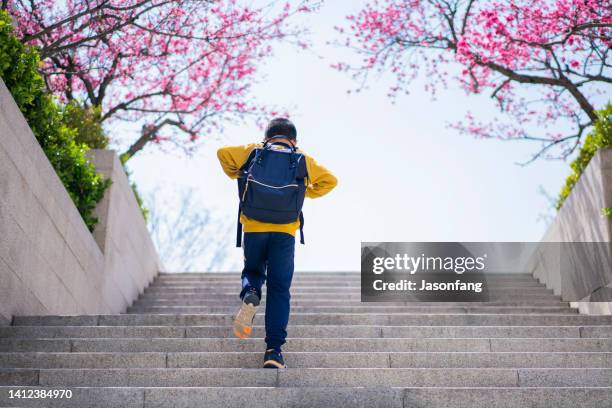 boy - 9 steps stock pictures, royalty-free photos & images