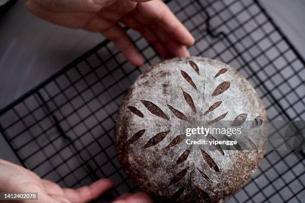 artisan bread: country style brown bread - round loaf stock pictures, royalty-free photos & images