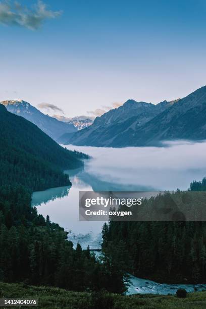 morning fog over lake kucherlinskoe in a mountain valley. belukha national park, altai republic, siberia, russia - altai mountains ストックフォトと画像