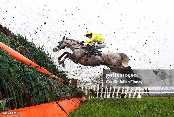 Al Ferof ridden by Ruby Walsh jumps a fence in the Racing Post Arkle Challenge Trophy Steeple Chase run during day one of the Cheltenham Festival at...