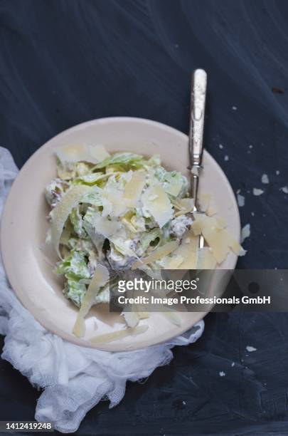 caesar salad with parmesan cheese (seen from above) - shaved parmesan stock pictures, royalty-free photos & images