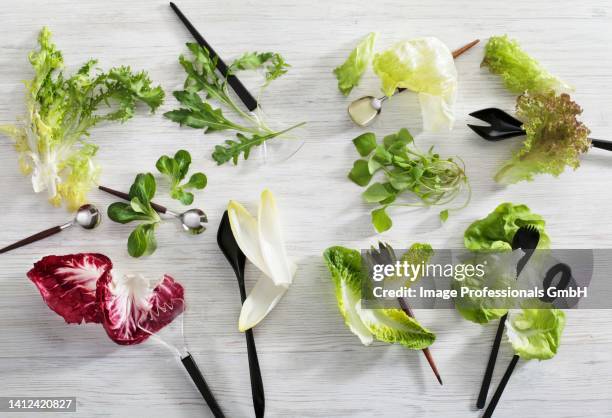 various lettuce leaves with salad servers - krulandijvie stockfoto's en -beelden