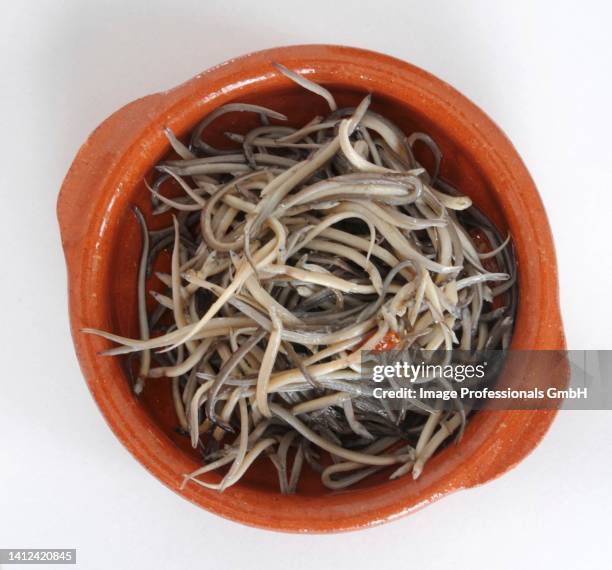 glass eels in a terracotta bowl (seen from above) - havsål bildbanksfoton och bilder