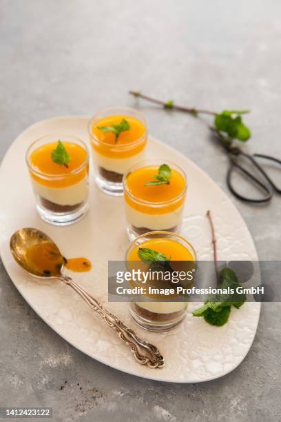 passion fruit and cheesecake mousse in small glasses - passion fruit imagens e fotografias de stock