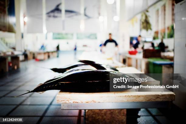 fresh tuna fish on the fish market (funchal, madeira) - pescadero fotografías e imágenes de stock