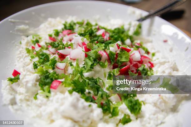 cottage cheese - hüttenkäse stock-fotos und bilder