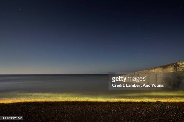 yellow light glowing in the waves at night - phosphorescence stock pictures, royalty-free photos & images
