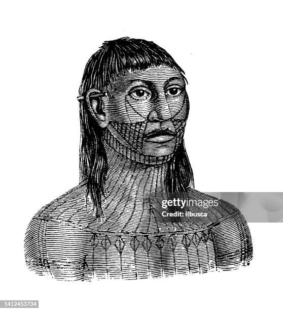 antique illustration, ethnography and indigenous cultures: south america, munduruku - ceremonial make up stock illustrations