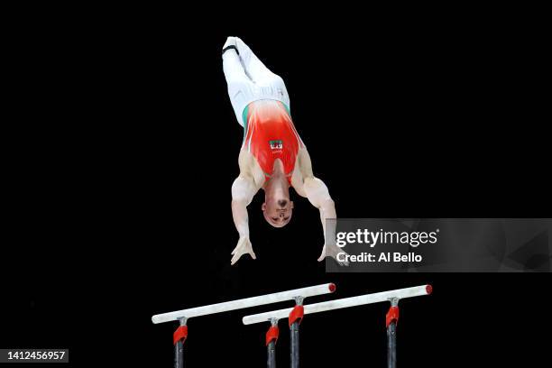 Brinn Bevan of Team Wales competes during Men's Parallel Bars Final on day five of the Birmingham 2022 Commonwealth Games at Arena Birmingham on...