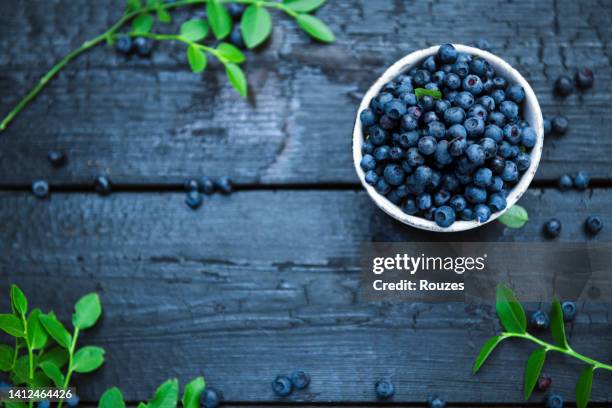 blueberries - bosbes stockfoto's en -beelden