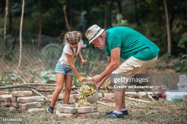 family composting kitchen waste outdoors - daily bucket stock pictures, royalty-free photos & images