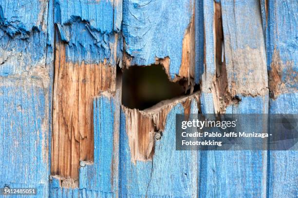 wooden door with broken pieces - broken door stock-fotos und bilder