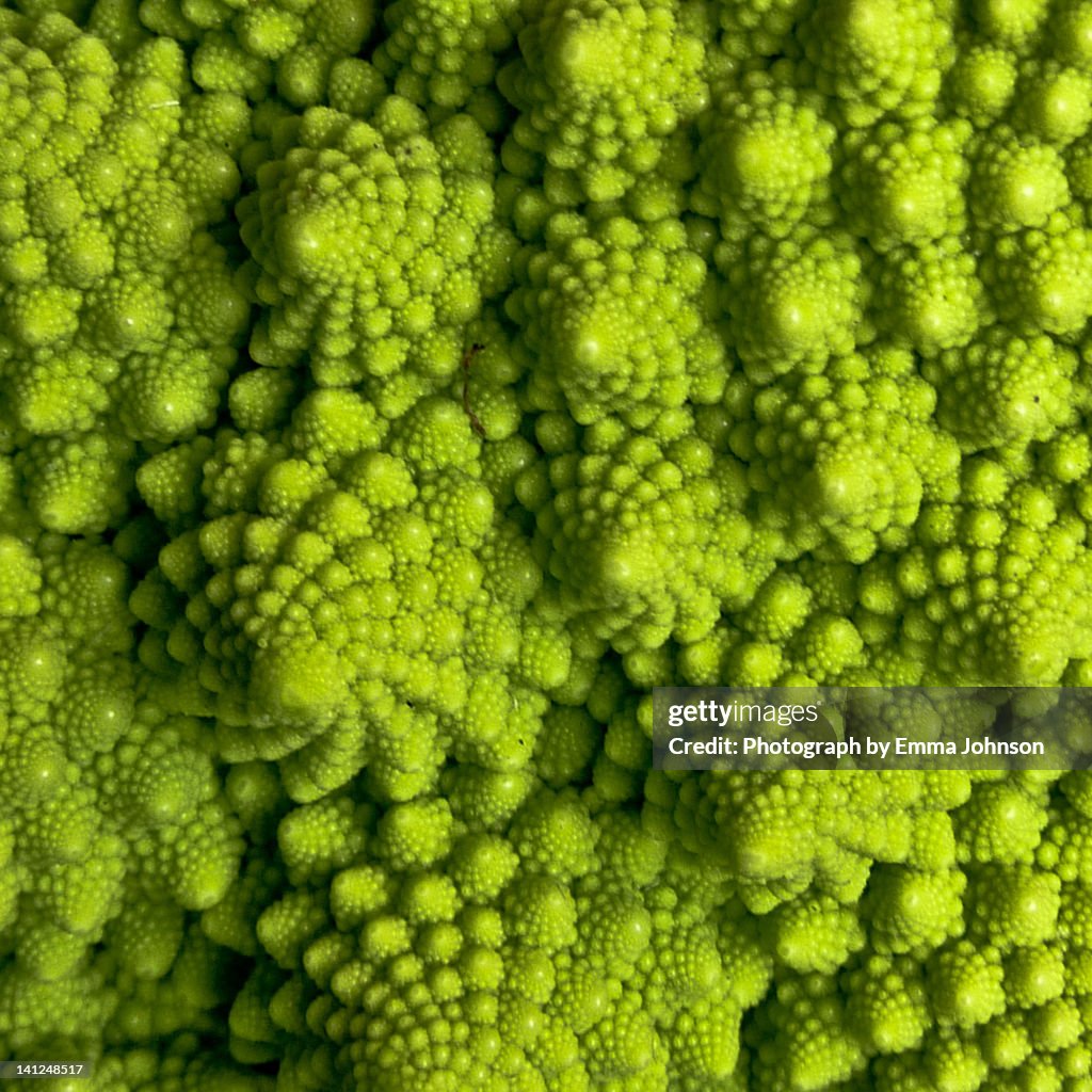 Romanesco cauliflower