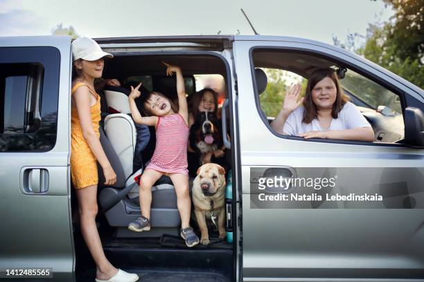 Kids siblings and two dogs in big car on road trip in summer.