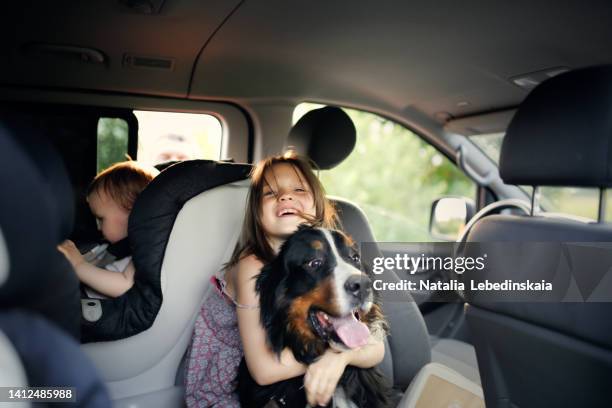 toddler in a car seat and a sister hugging a large bernese mountain dog inside a large car. - domestic animals photos et images de collection