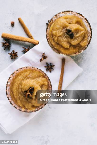 homemade apple sauce with cinnamon and star anise - コンポート ストックフォトと画像