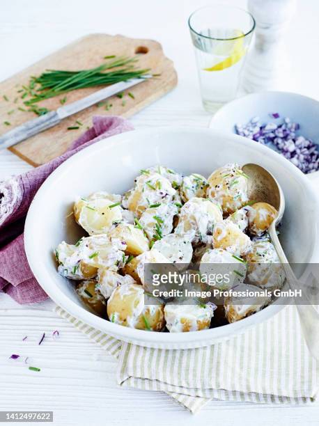 potato salad - potato salad stock pictures, royalty-free photos & images