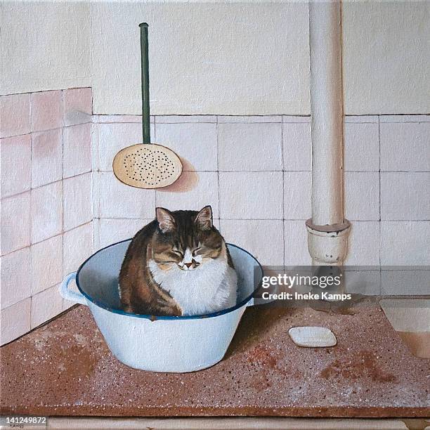cat in white vessel - kitchen tile stock illustrations