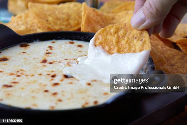 corn crisps with a goat's cheese cheddar dip - cheese sauce stock pictures, royalty-free photos & images