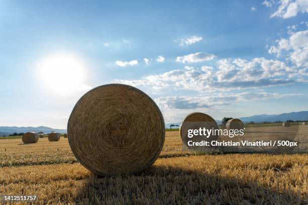 scenic view of field against sky - hay bail bildbanksfoton och bilder