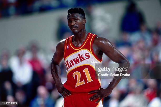 Dominique Wilkins of the Atlanta Hawks looks on against the Portland Trailblazers at the Veterans Memorial Coliseum in Portland, Oregon circa 1989....