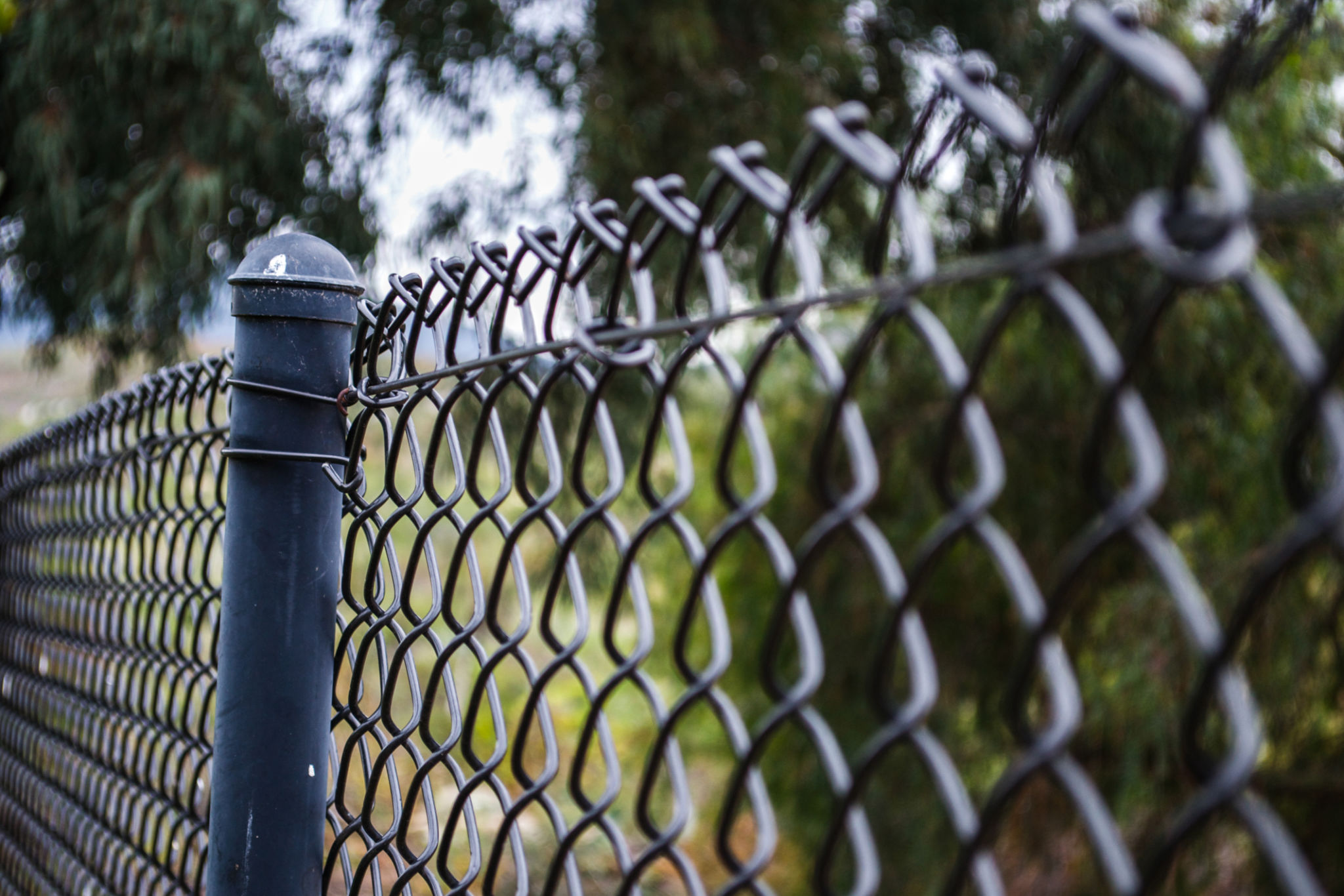 local fencing regulation