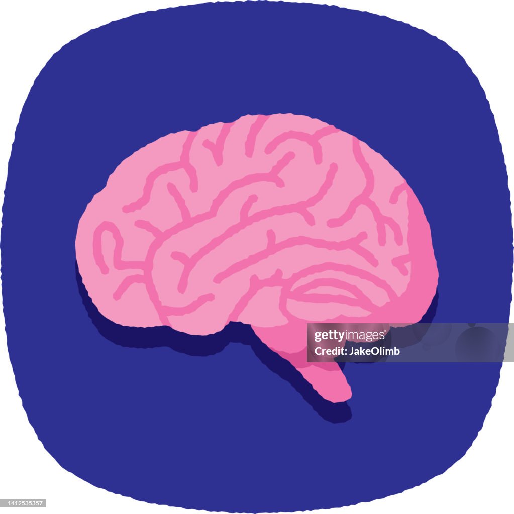 Brainline Doodle Brain Doodle 4 High-Res Vector Graphic - Getty Images