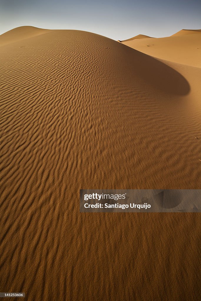 Sand dune in afternoon light