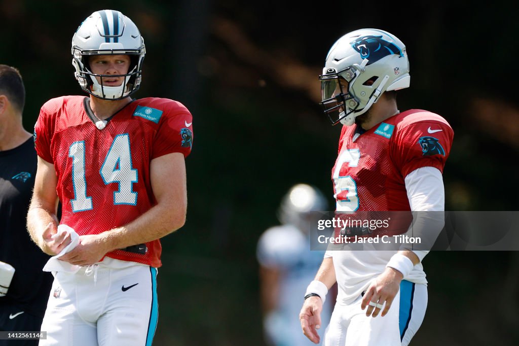 Carolina Panthers Training Camp