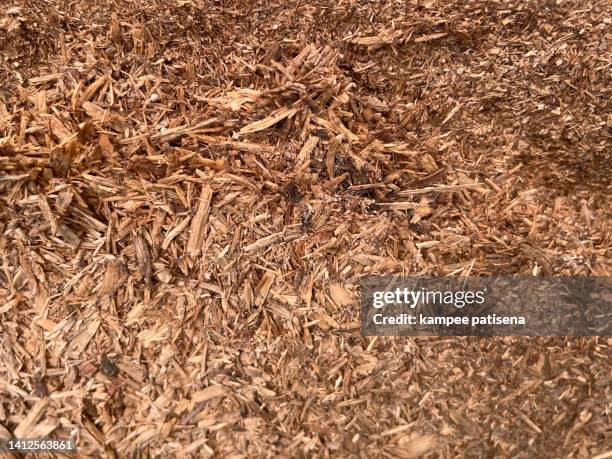 close-up of hardboard texture background - wood sawdust stock pictures, royalty-free photos & images