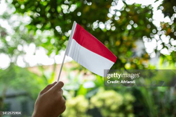 young indonesian in celebration of the independence day - indonesische flagge stock-fotos und bilder