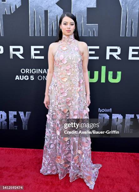 1,004点のアンバー・ミッドサンダーの写真と高解像度写真