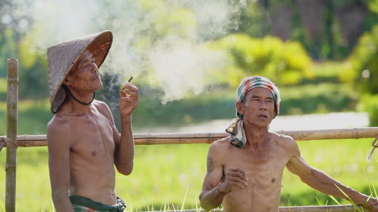 Young Rural Smokers Tobacco Farming Process Videos and HD Footage - Getty Images