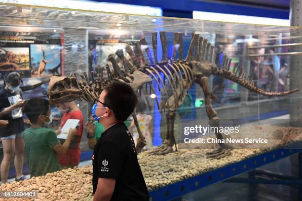 Child looks at a skeleton of Lotosaurus at Beijing Museum of Natural History on August 2, 2022 in Beijing, China.