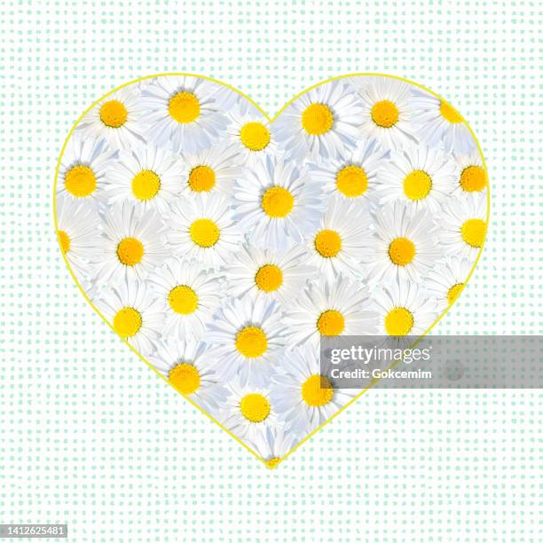 heart shape with close-up daisies pattern. design element for easter greeting cards, bridal shower and wedding cards. - yellow flower macro stock illustrations