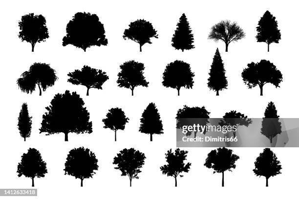 ilustrações de stock, clip art, desenhos animados e ícones de detailed tree silhouettes of various trees on white background - deciduous tree