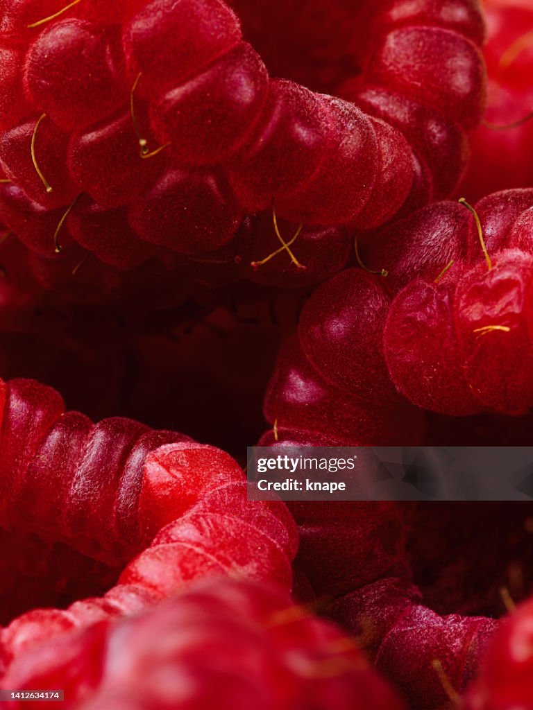 Himbeeren Nahaufnahme Makro von Fruchtbeeren