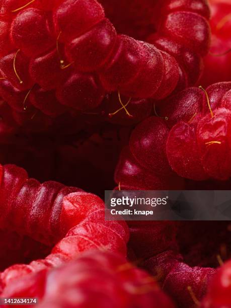 raspberries close up macro of fruit berries - raspberry stockfoto's en -beelden