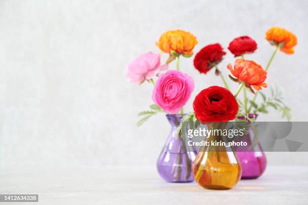 flowers - ranunculus stock pictures, royalty-free photos & images