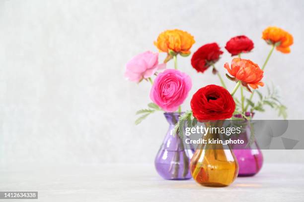 flowers - blank birthday card stock pictures, royalty-free photos & images